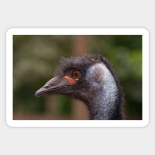 Emu Sticker